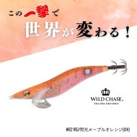 画像1: WILD CHASE 2.5号 #62 RG/閃光メープルオレンジ(UV)